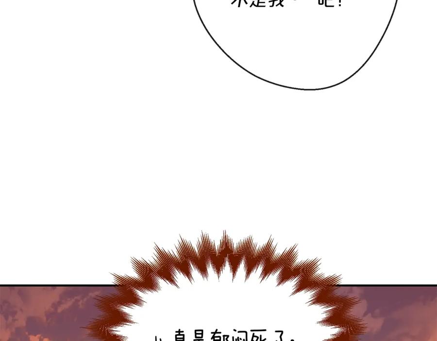 136.jpg