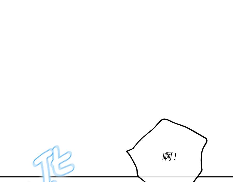 146.jpg