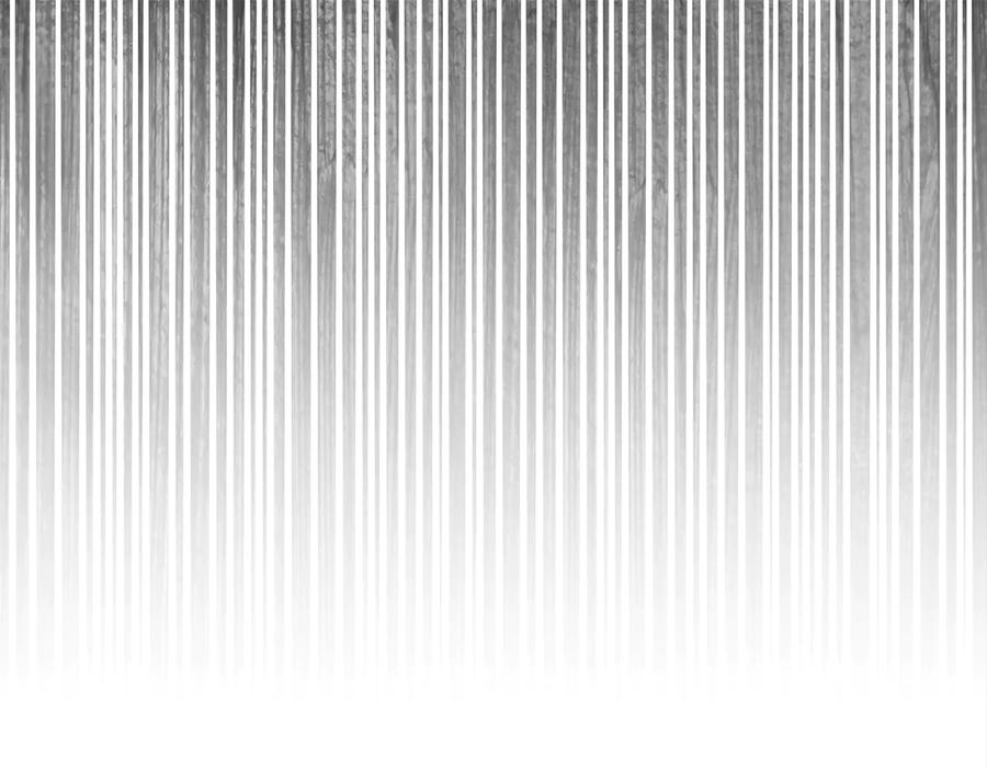 94.jpg