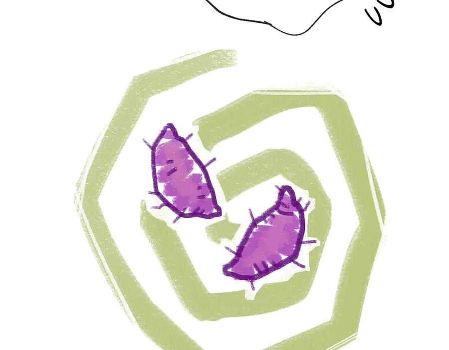 76.jpg
