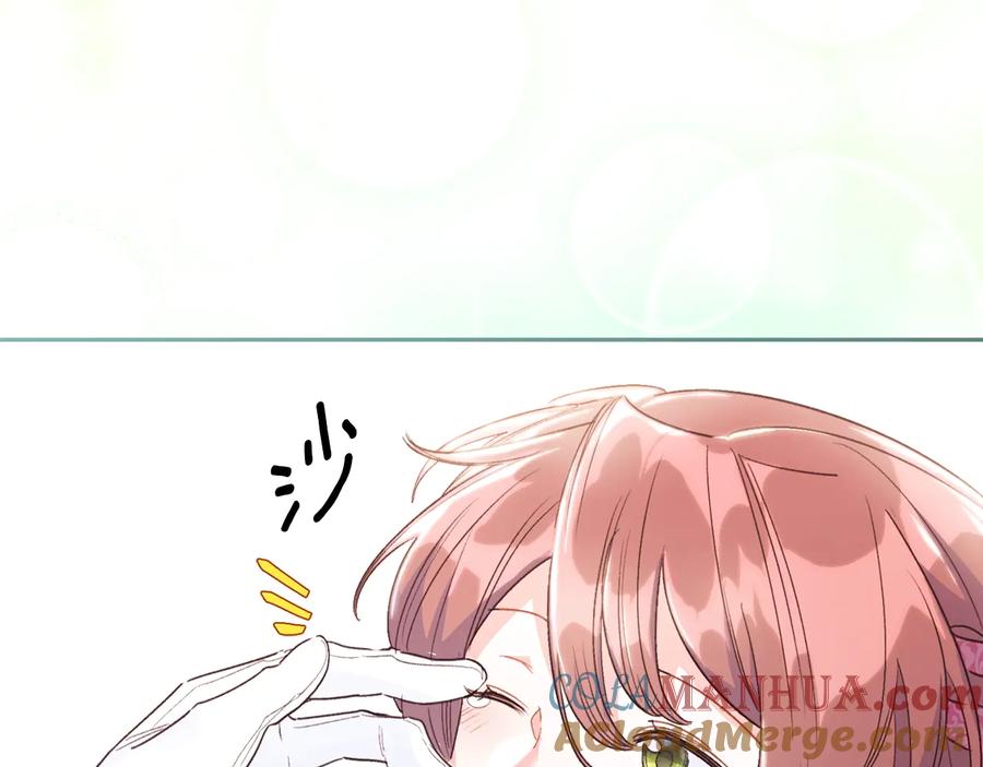 213.jpg