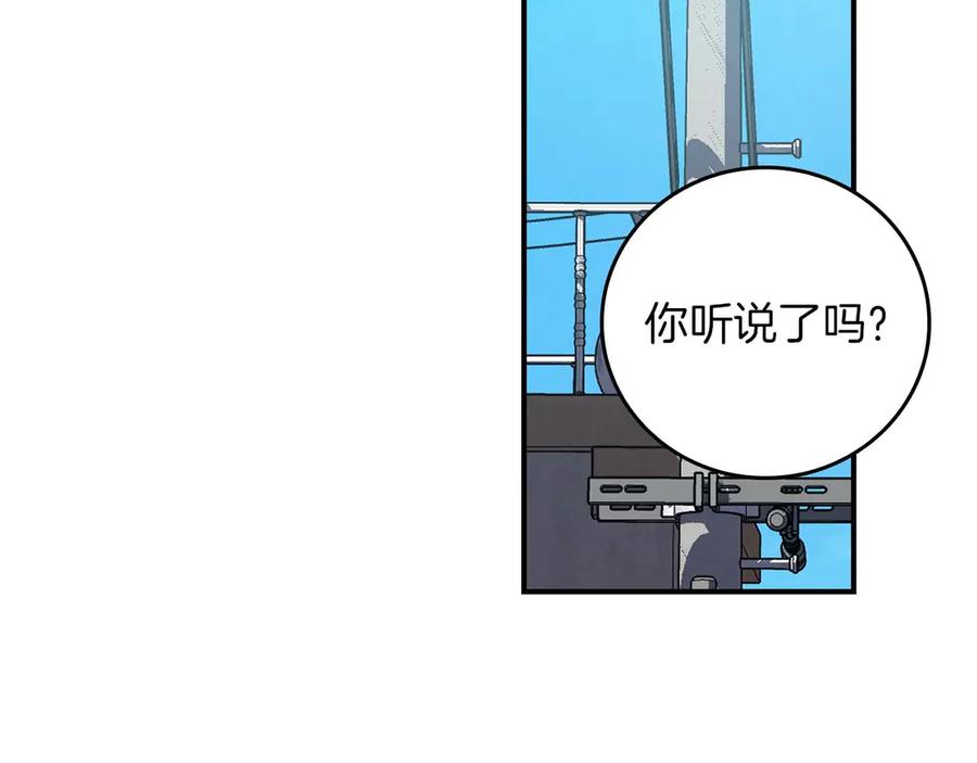 96.jpg