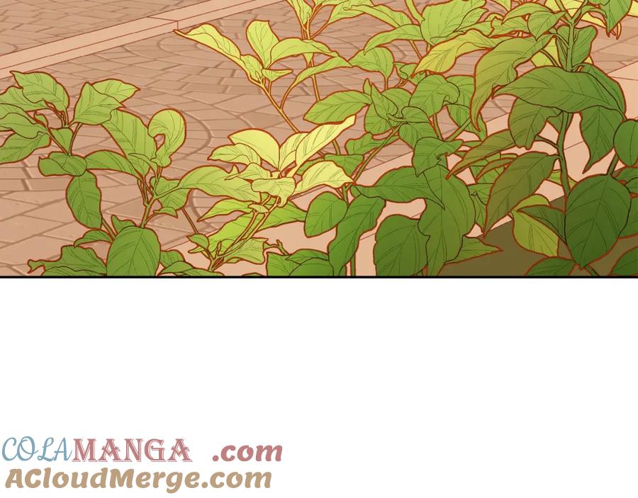 第85话送花的意义-公爵夫人的秘密服装店-sizh+ All ages Ga（第4张）