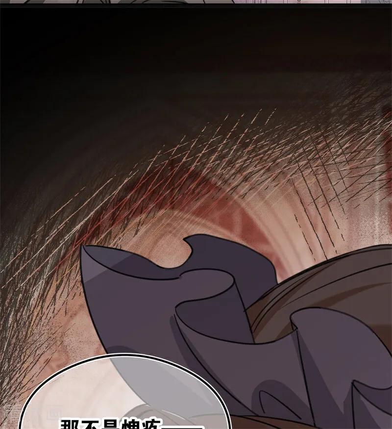 63.jpg