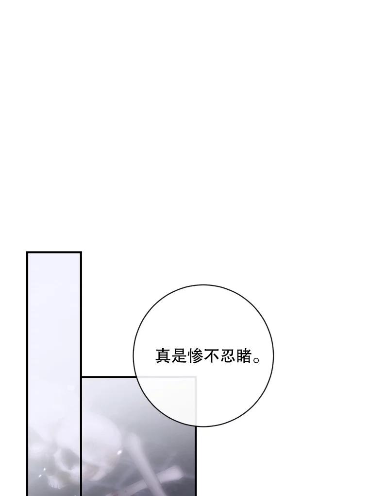 95.jpg