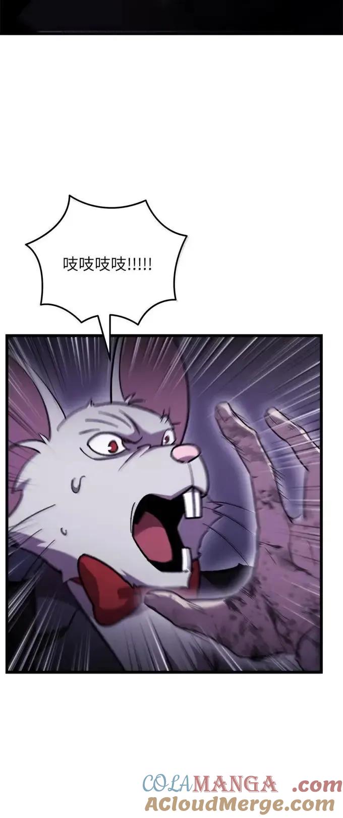 43.jpg