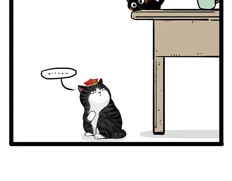 33.jpg