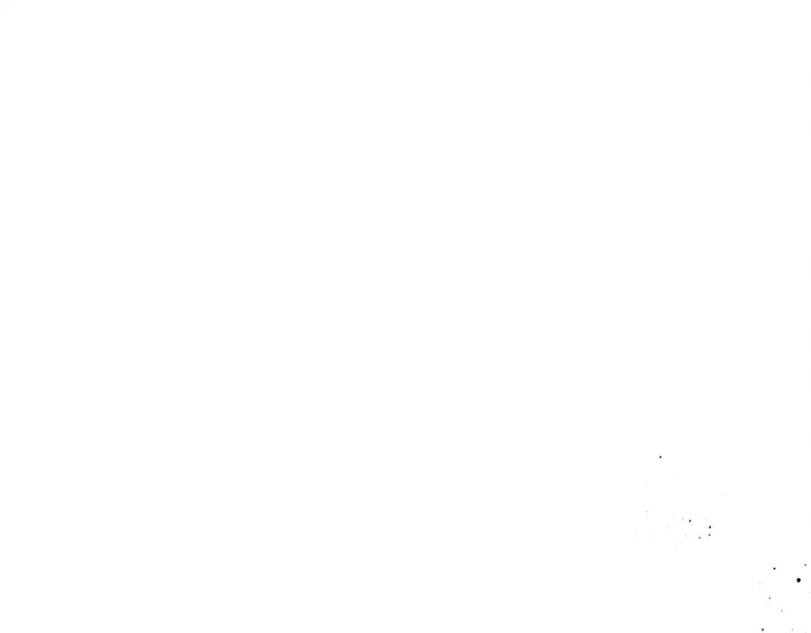 115.jpg