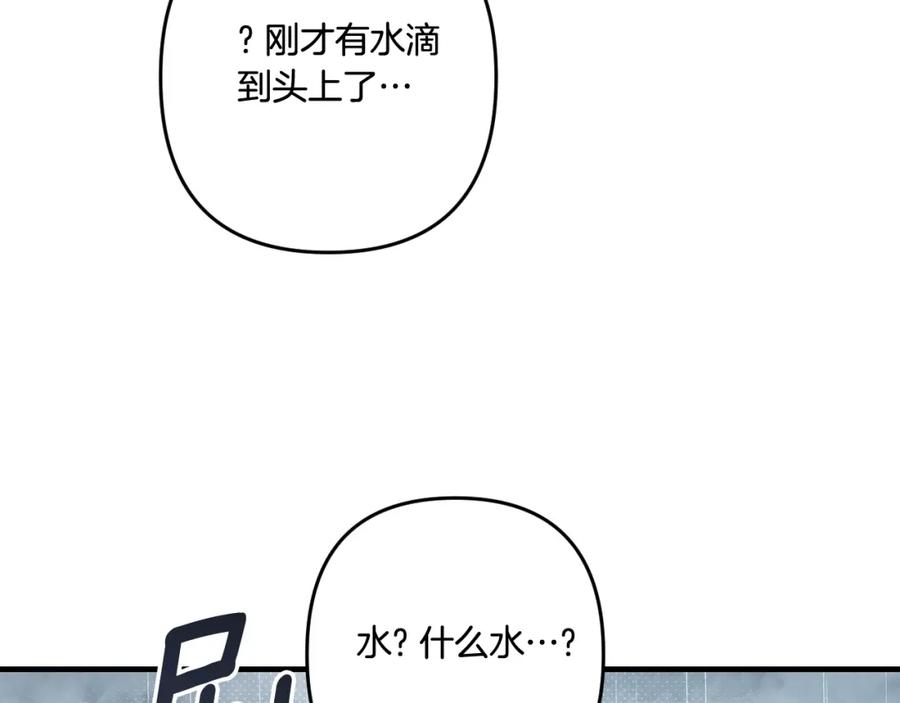 110.jpg