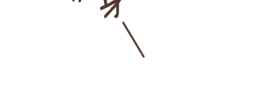 147.jpg