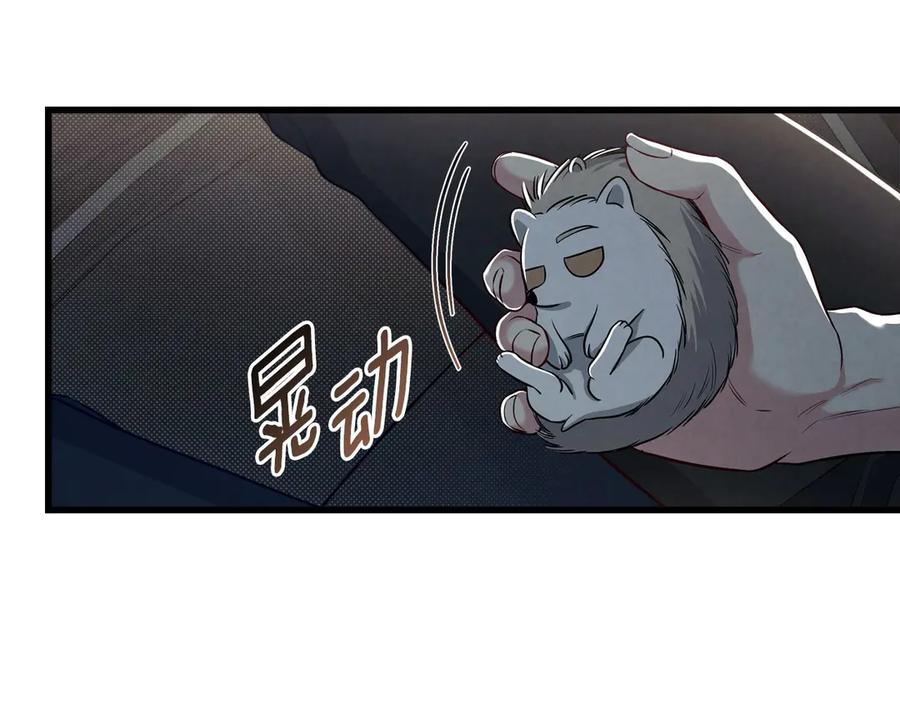 139.jpg