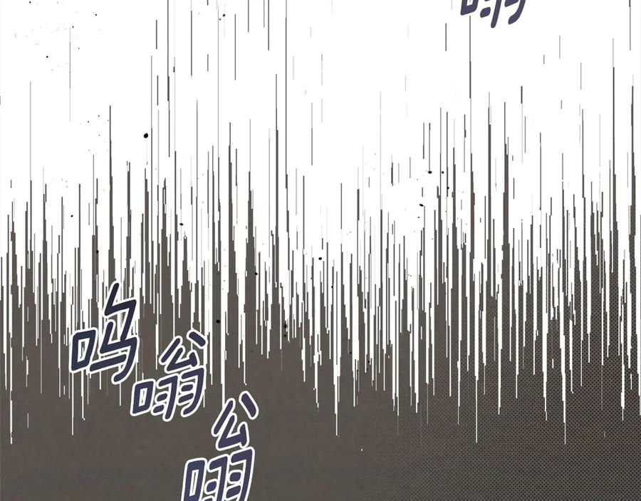 99.jpg