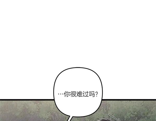117.jpg