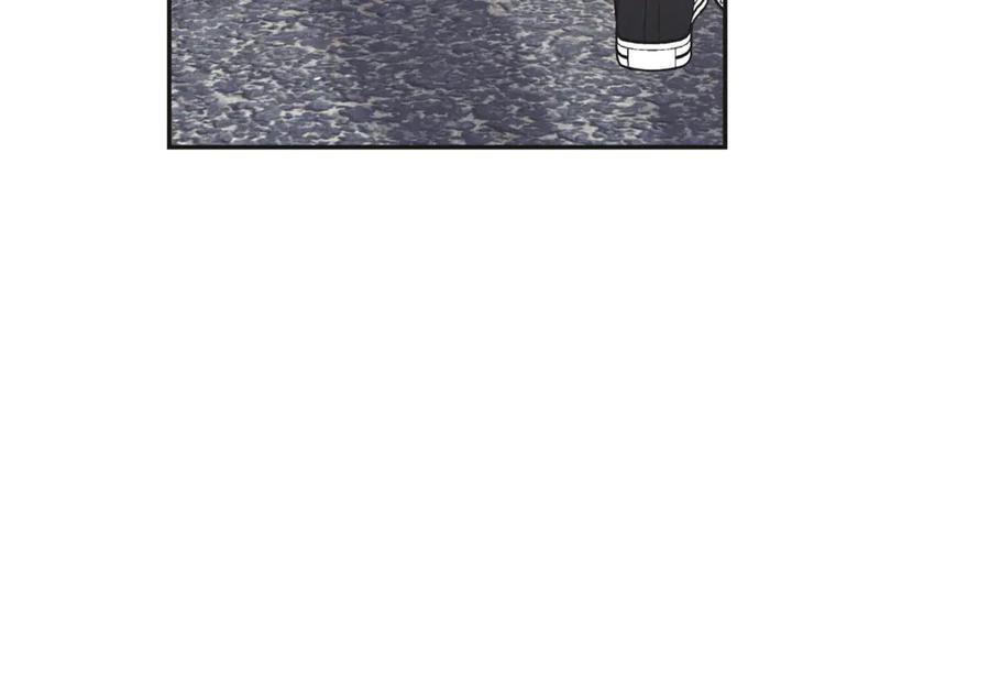 164.jpg
