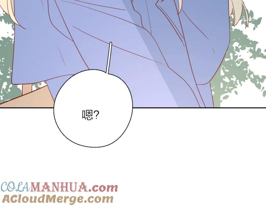 73.jpg