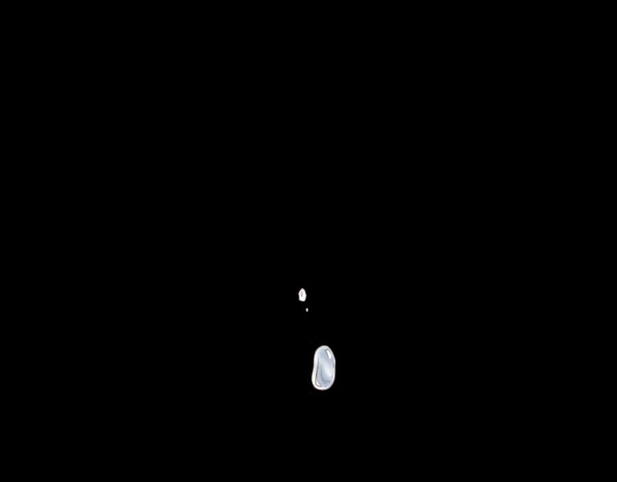 42.jpg