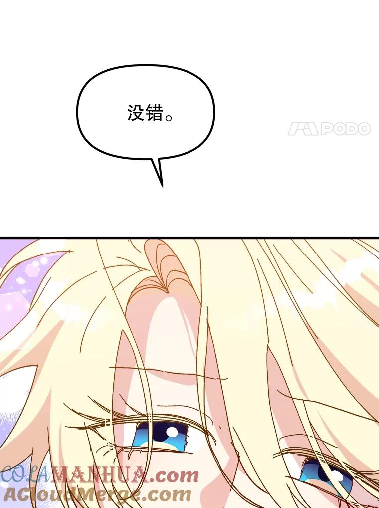 113.jpg