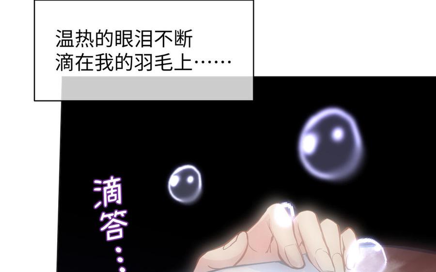 第99话吹散在风中-公主战争-罗婕 ×胡鲸（籍火文化）（第11张）