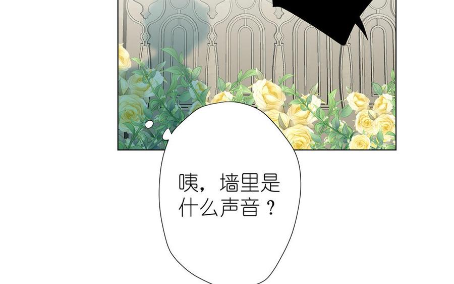 番外1王子战争-公主战争-罗婕 ×胡鲸（籍火文化）（第15张）