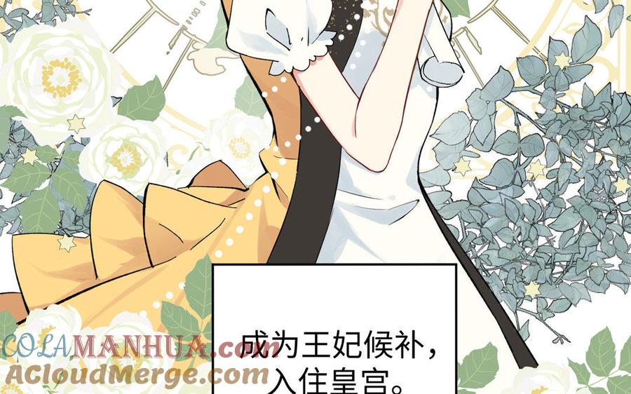 第7话贴身侍女-公主战争-罗婕 ×胡鲸（籍火文化）（第13张）