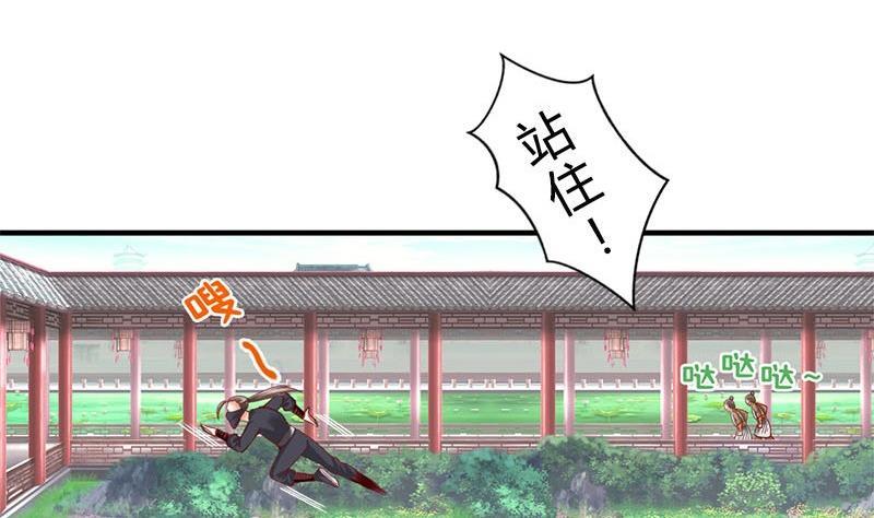 第11话抓刺客-公子们，请自重-破晓漫画（第5张）