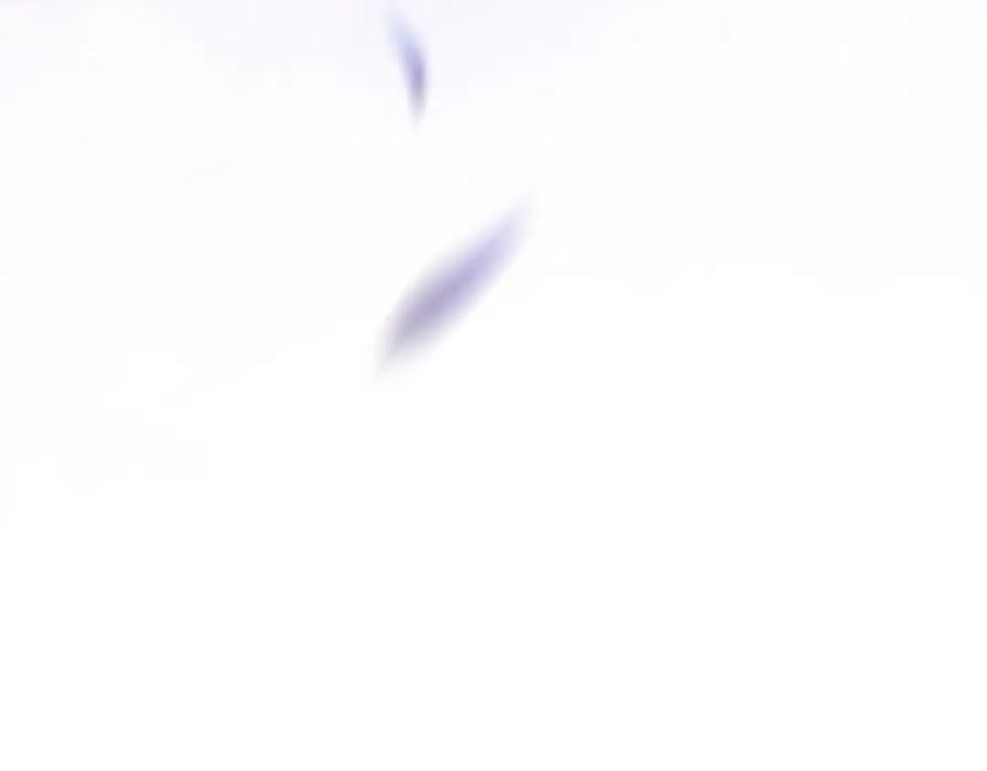 74.jpg