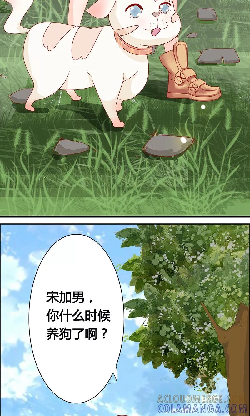 第4话-狗粮好吃-阿里文学（第13张）