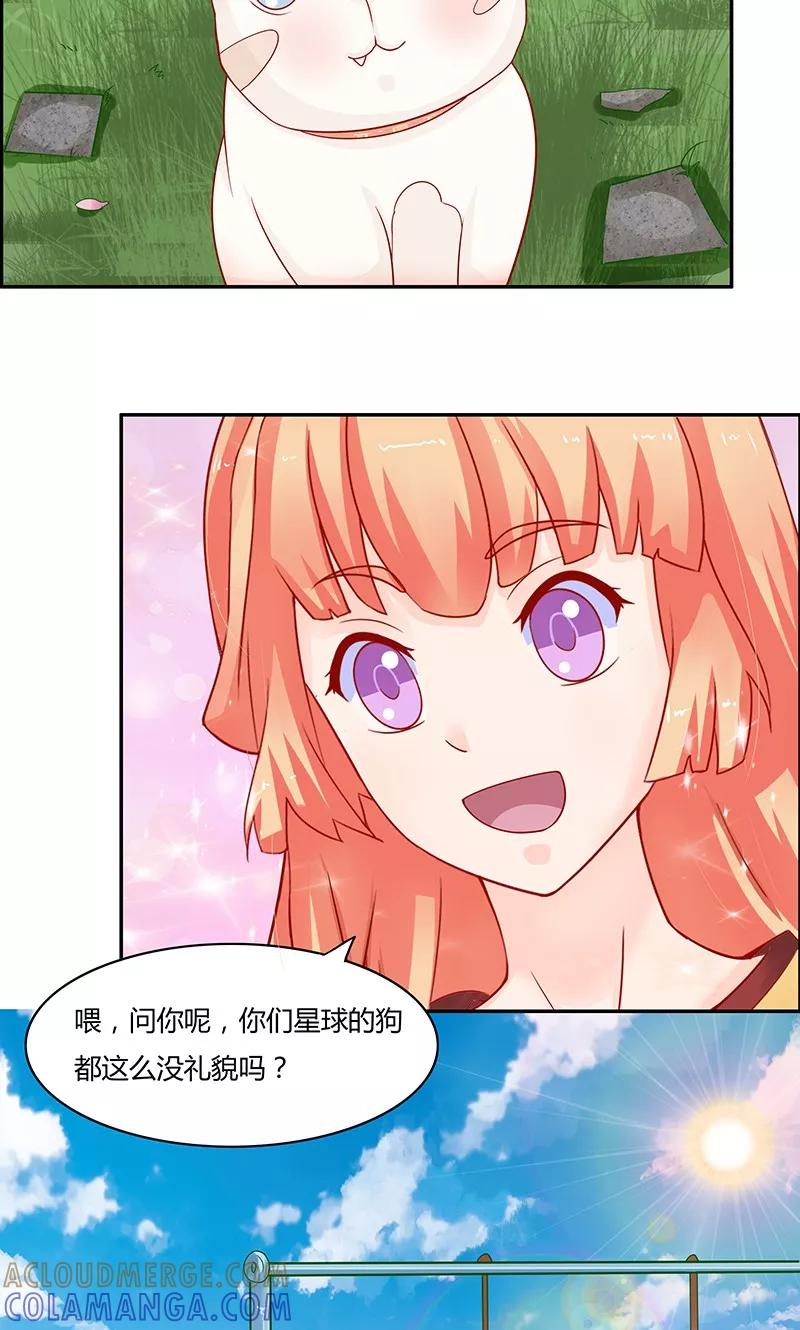第4话-狗粮好吃-阿里文学（第3张）