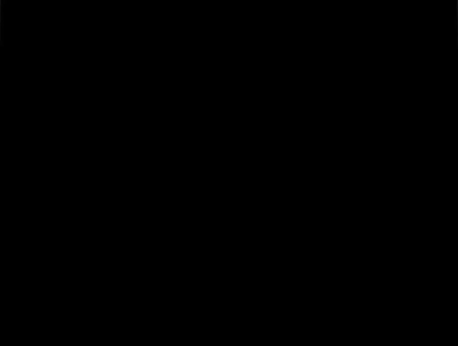 120.jpg