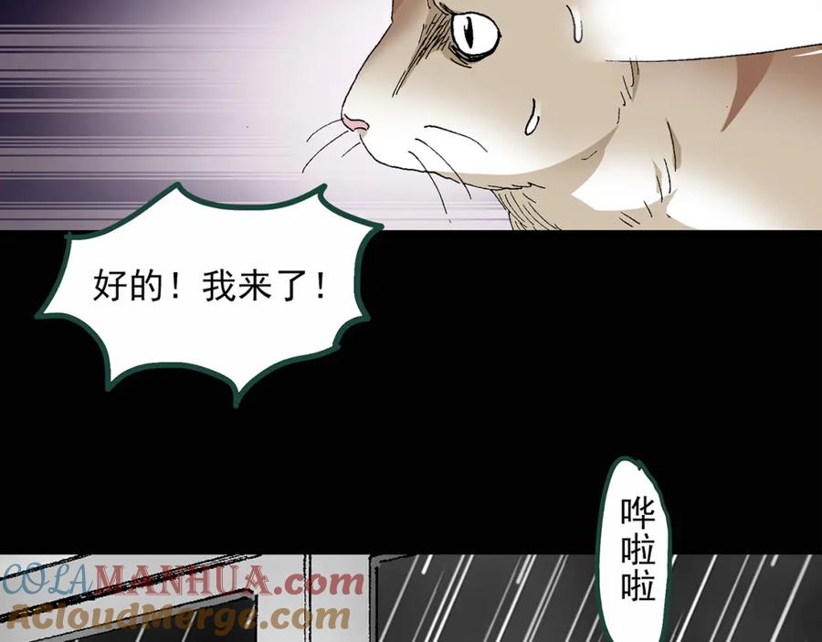 第30话怪之猫(中2)-怪奇实录-妖春桥（第18张）