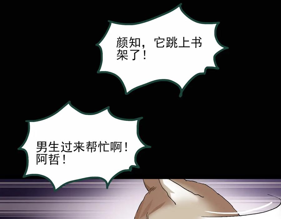 第30话怪之猫(中2)-怪奇实录-妖春桥（第17张）