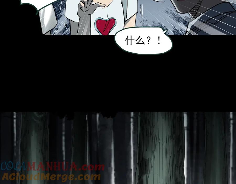 49.jpg