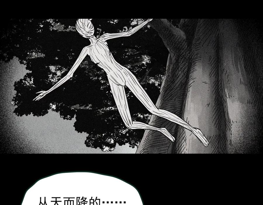 88.jpg