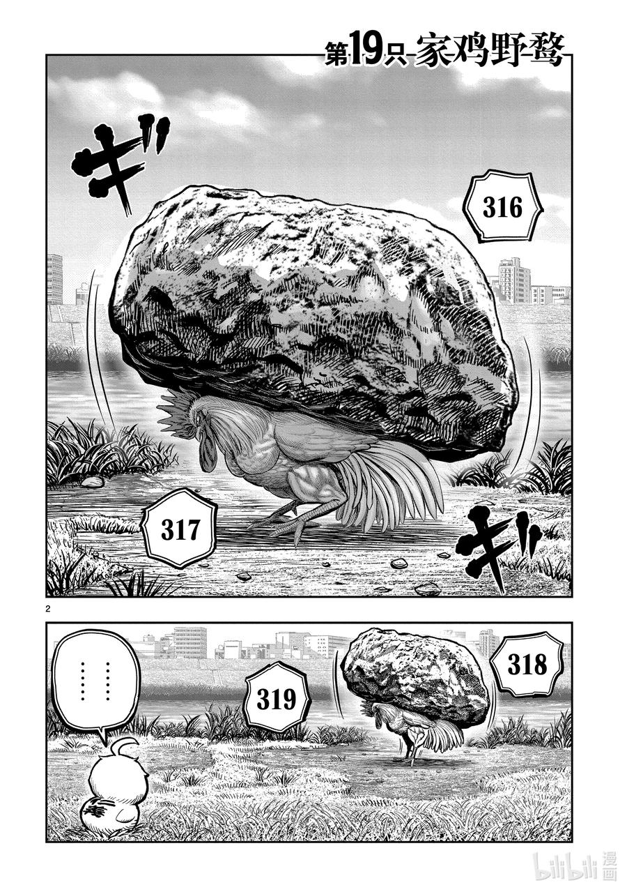 2.jpg