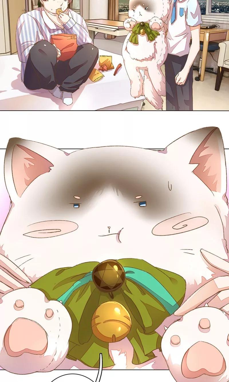 22.jpg