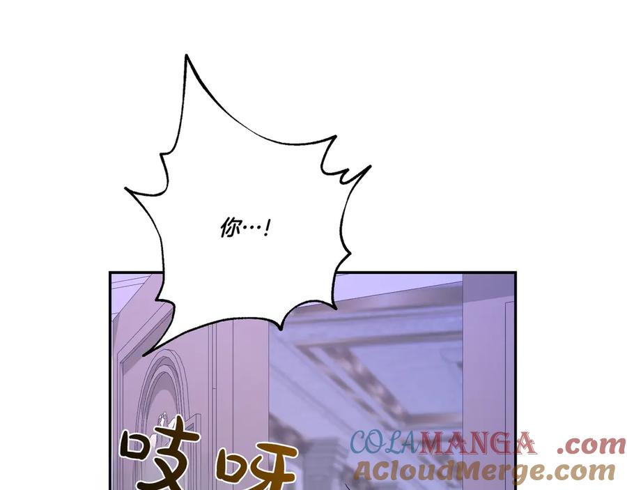 117.jpg