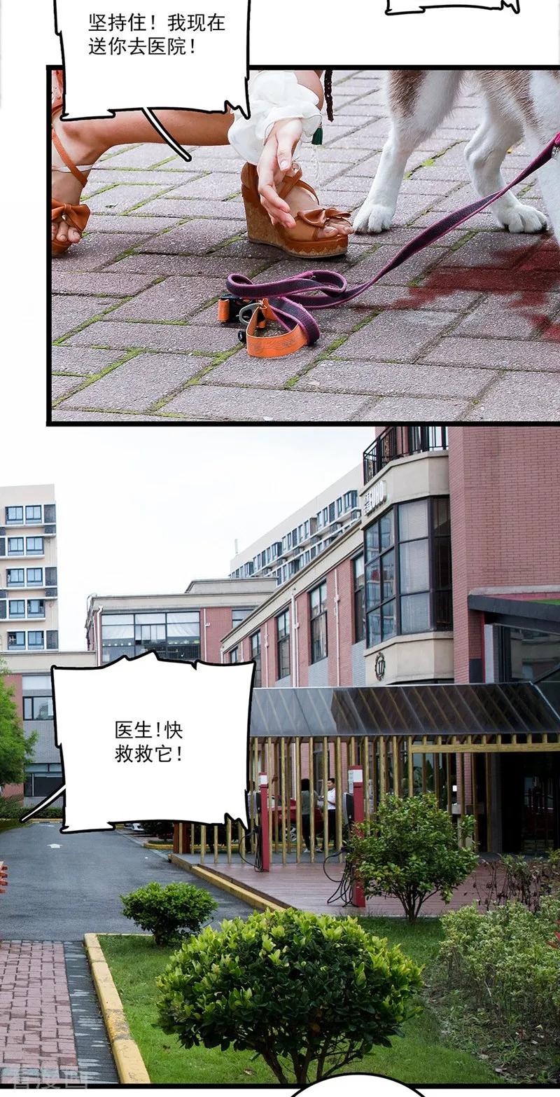 第31话急中生智-恋爱禁忌条例真人漫-漫铠动漫（第2张）