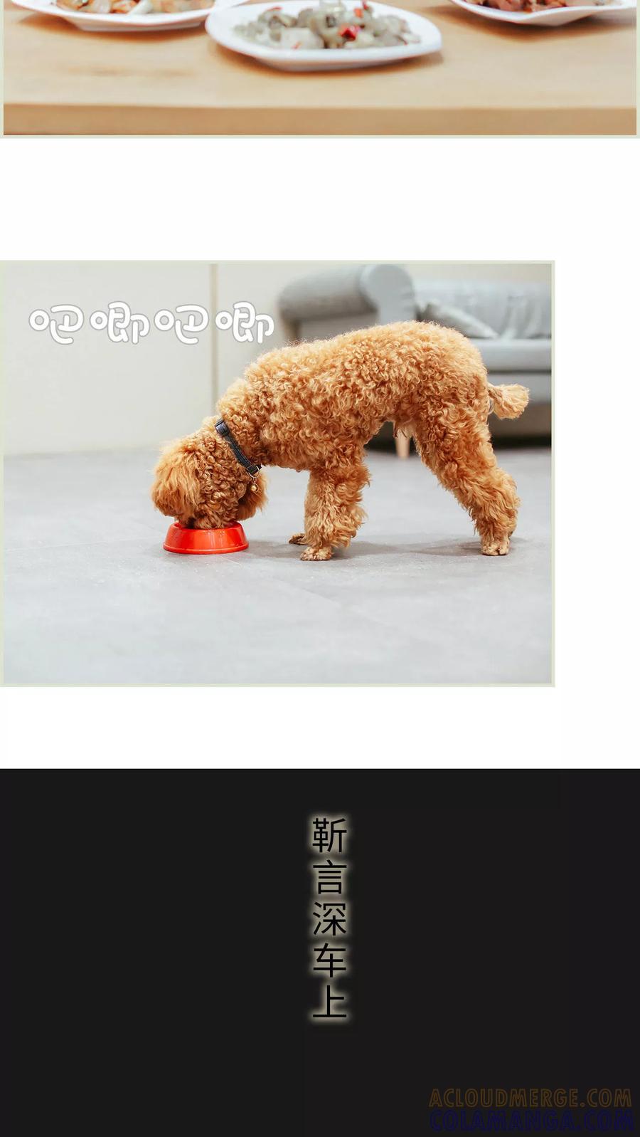 第34话-乖嫩甜妻-剧能玩（第11张）