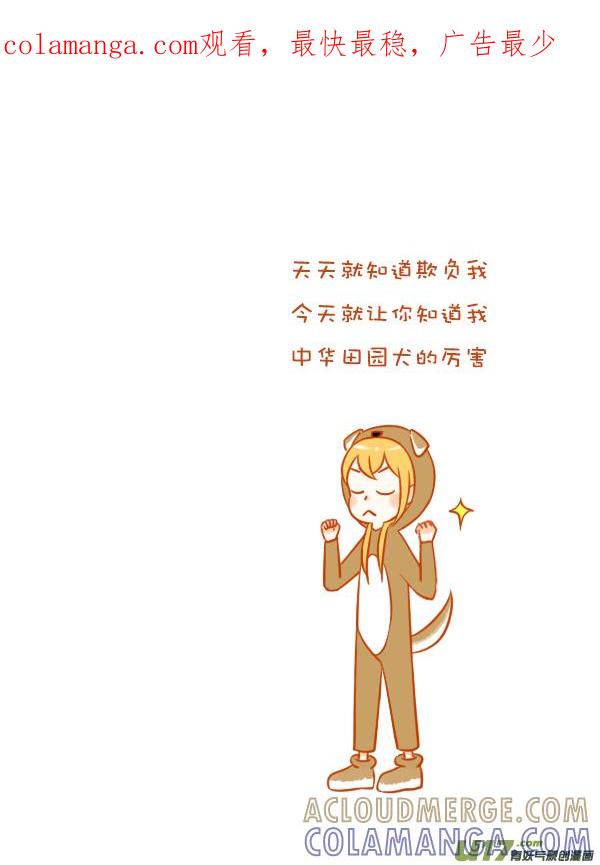 田园犬-全世界都在谈恋爱-二囬（第1张）