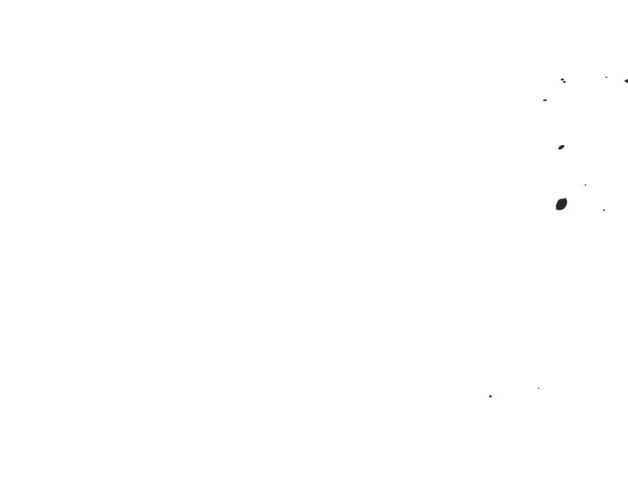 94.jpg
