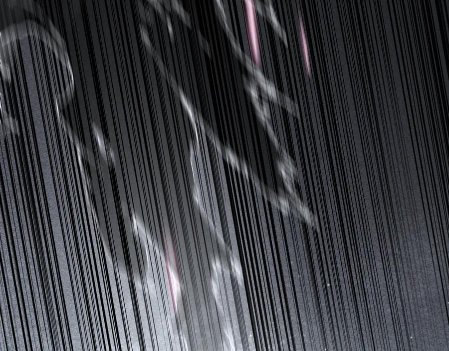 110.jpg