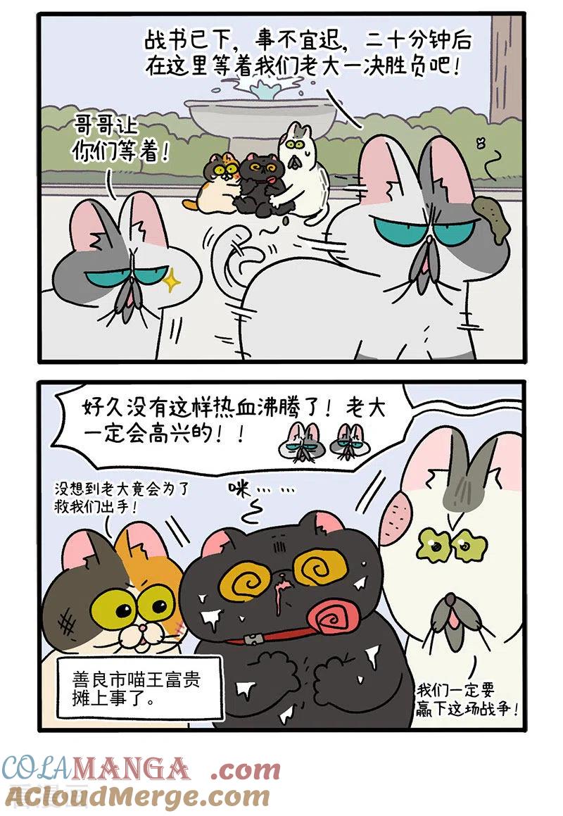 第41话收到战书-阿满和麦茶-新漫画 日胖大海寺（第2张）