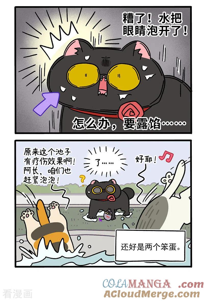 第41话收到战书-阿满和麦茶-新漫画 日胖大海寺（第4张）