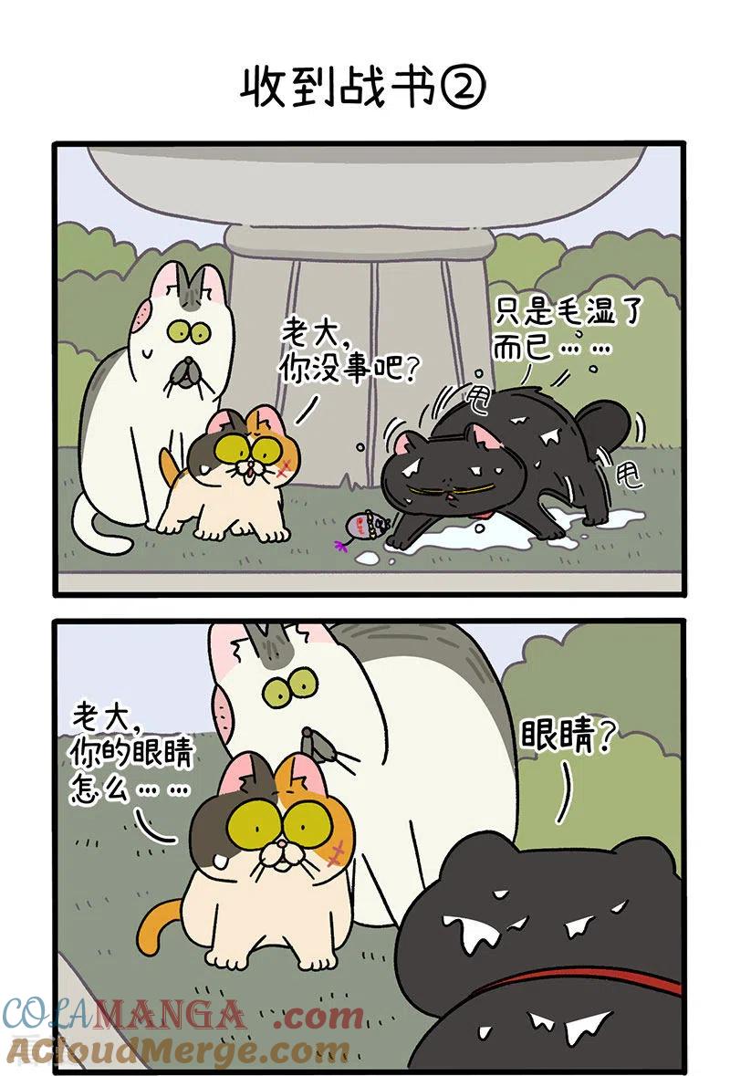 第41话收到战书-阿满和麦茶-新漫画 日胖大海寺（第3张）