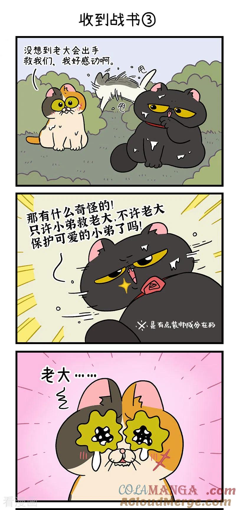 第41话收到战书-阿满和麦茶-新漫画 日胖大海寺（第5张）