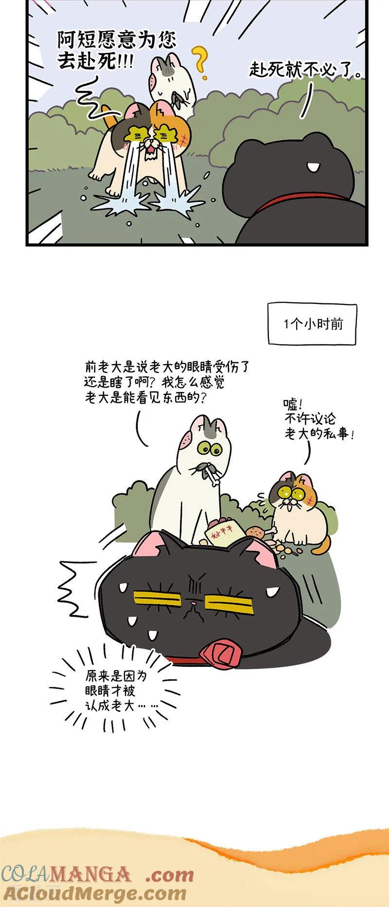 第41话收到战书-阿满和麦茶-新漫画 日胖大海寺（第6张）