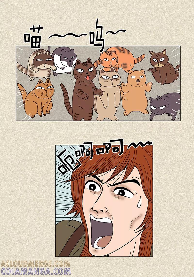 第27话是你呼唤的我-猫王子-蓝文文化（第11张）