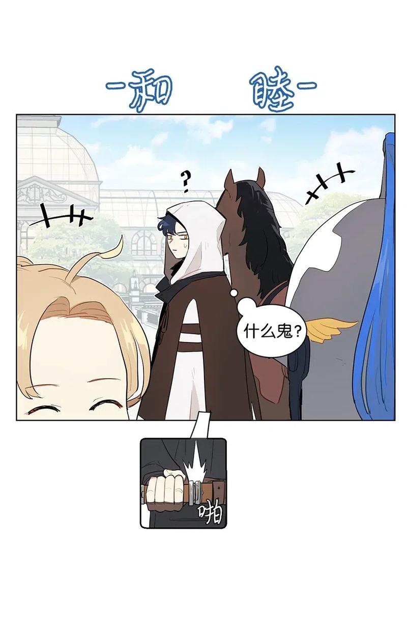47.jpg