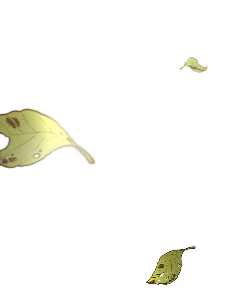 42.jpg