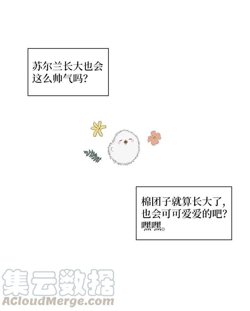 93.jpg